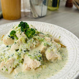 A plate of chicken in broccoli cream sauce, garnished with a piece of broccoli on top.